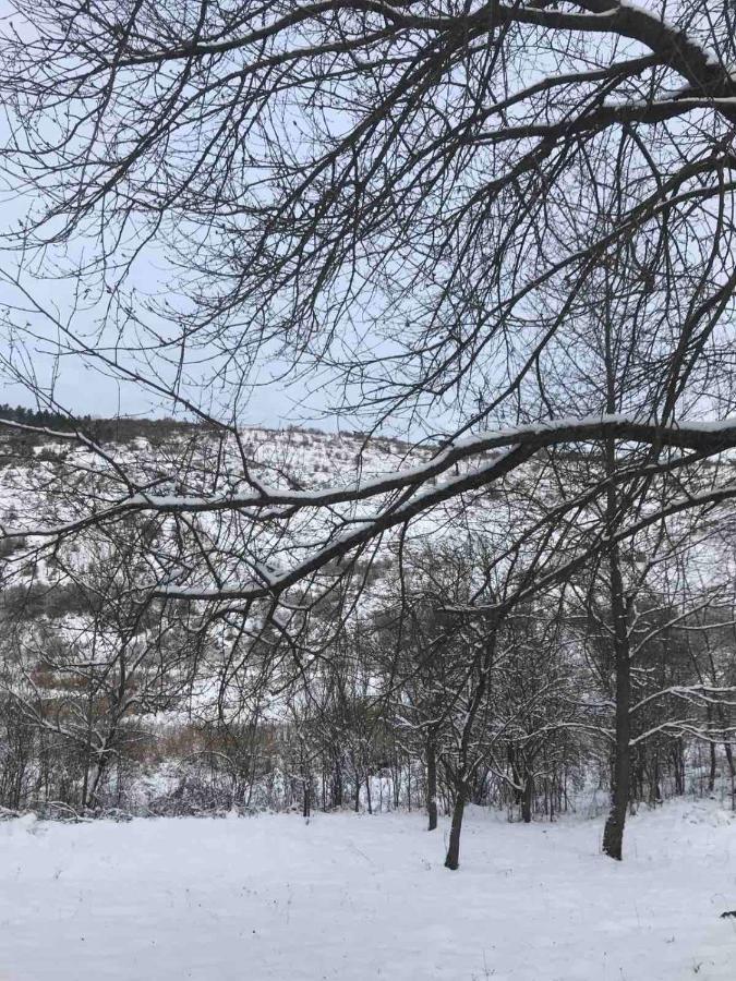 Korkóstoló Vendégházak Aggtelek Esterno foto