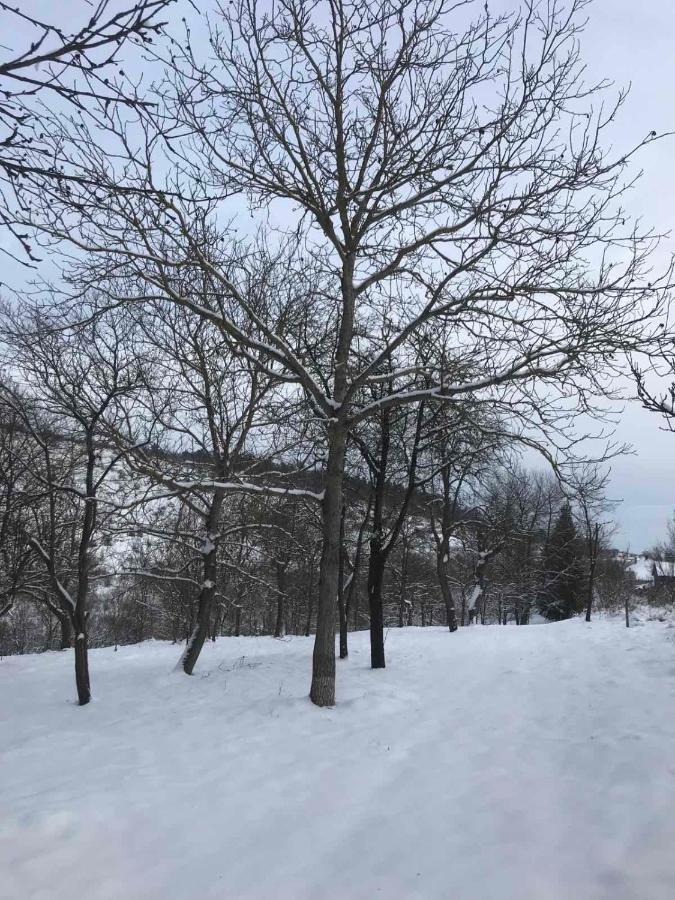 Korkóstoló Vendégházak Aggtelek Esterno foto